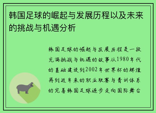 韩国足球的崛起与发展历程以及未来的挑战与机遇分析